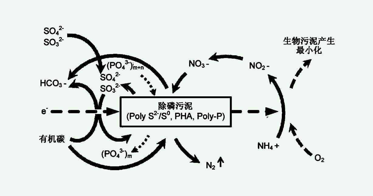 四種主要的生物脫氮工藝（生物脫氮的過(guò)程及原理）